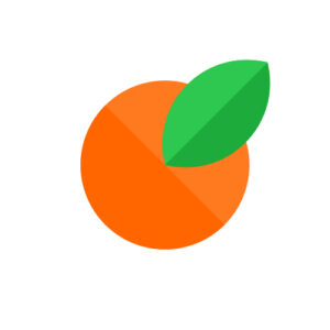 Ornage Green Webstudio